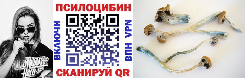 Галлюциногенные грибы прущие грибы  ссылка на мегу как зайти  shop Telegram  Махачкала 