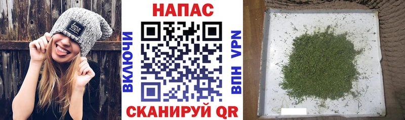 наркота  Махачкала  Бошки Шишки OG Kush 